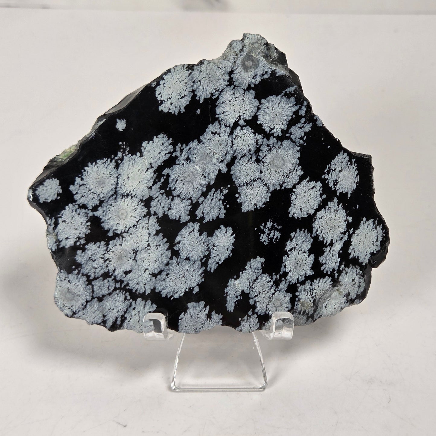 A black mineral specimen with white to light gray floral or cloud-like crystalline patterns, displayed on a clear acrylic stand against a light gray marble-patterned background.
