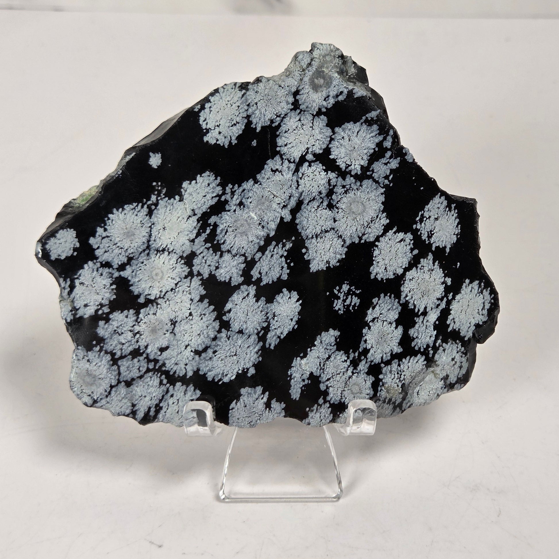 A black mineral specimen with white to light gray floral or cloud-like crystalline patterns, displayed on a clear acrylic stand against a light gray marble-patterned background.