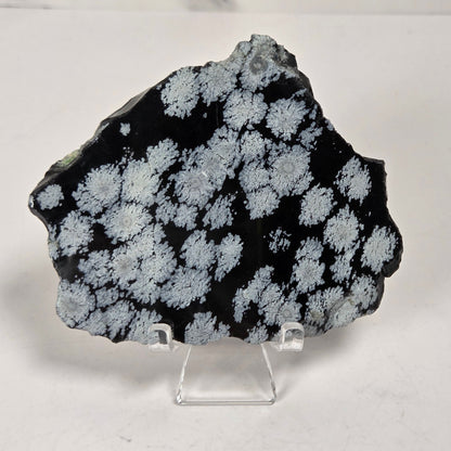 A black mineral specimen with white to light gray floral or cloud-like crystalline patterns, displayed on a clear acrylic stand against a light gray marble-patterned background.