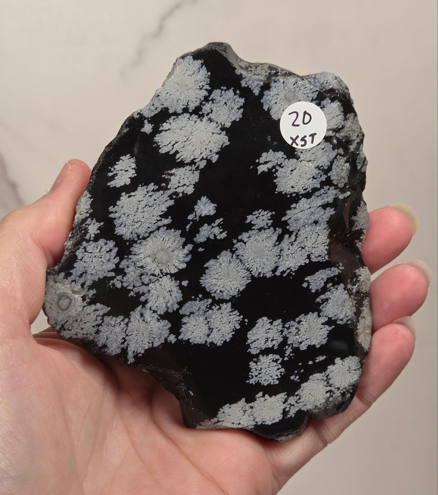 A hand holding a raw mineral specimen with a black matrix and light gray to white crystalline clusters, featuring a small white sticker with handwritten text '2D XST'.