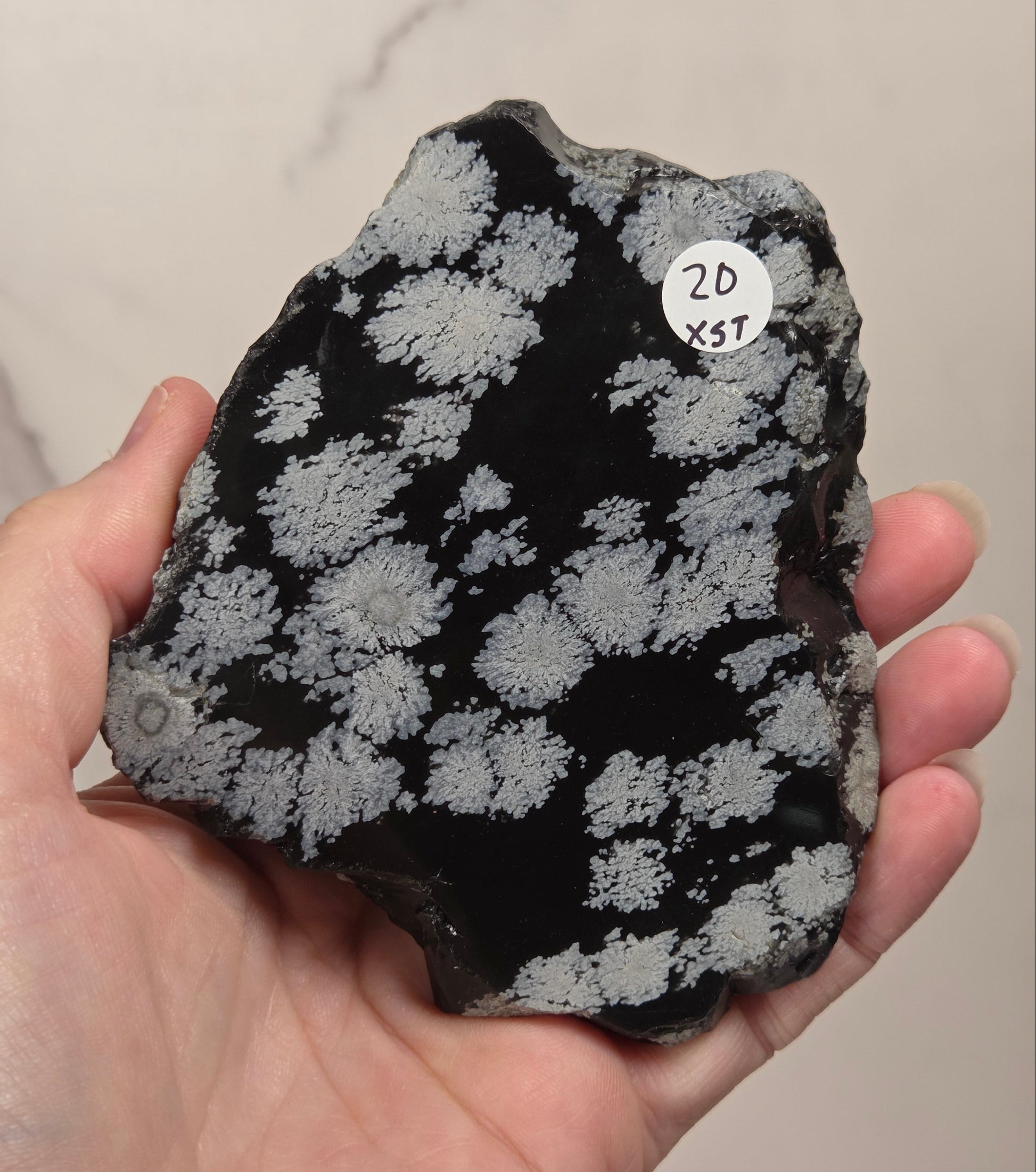 A hand holding a raw mineral specimen with a black matrix and light gray to white crystalline clusters, featuring a small white sticker with handwritten text '2D XST'.