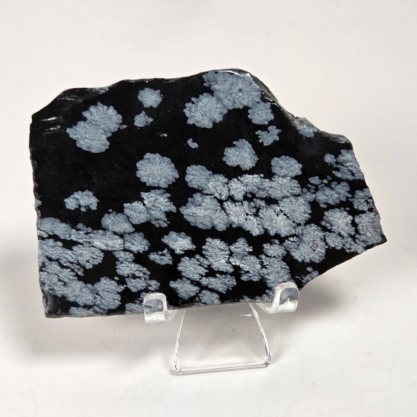 A black mineral specimen with light gray to silver crystalline spots, displayed on a clear acrylic stand against a white marble-patterned background.