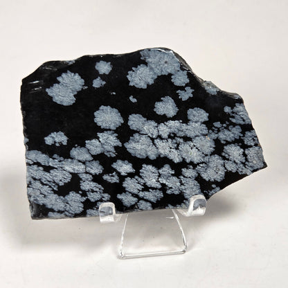 A black mineral specimen with light gray to silver crystalline spots, displayed on a clear acrylic stand against a white marble-patterned background.