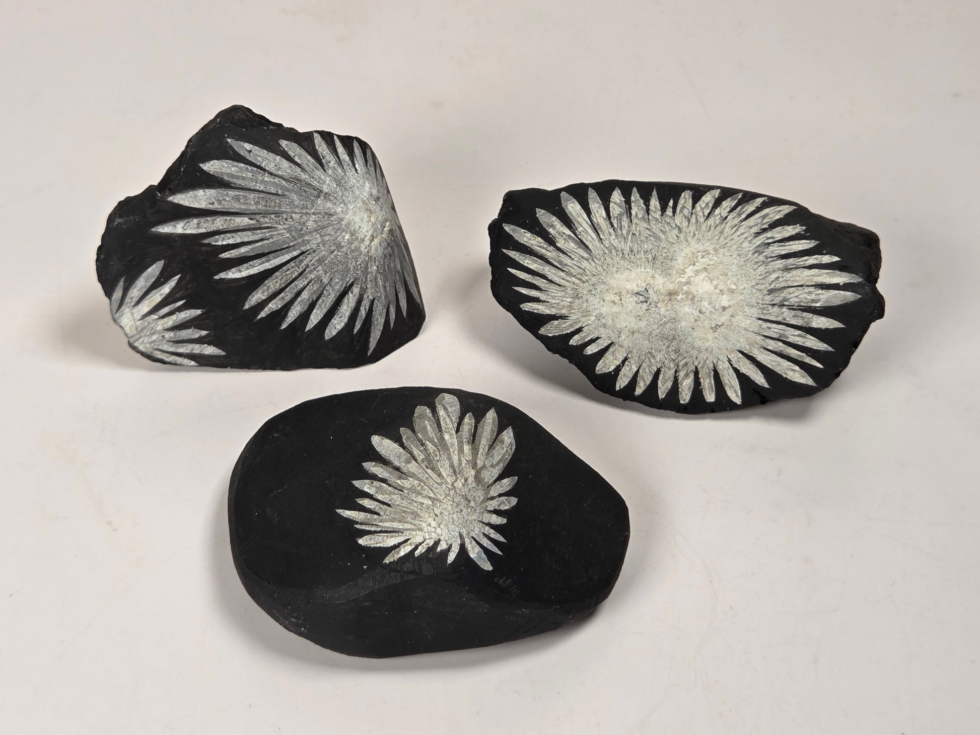 Three black decorative stones or coasters with white radial floral/starburst patterns, arranged on a plain light background.