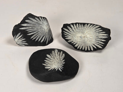 Three black decorative stones or coasters with white radial floral/starburst patterns, arranged on a plain light background.