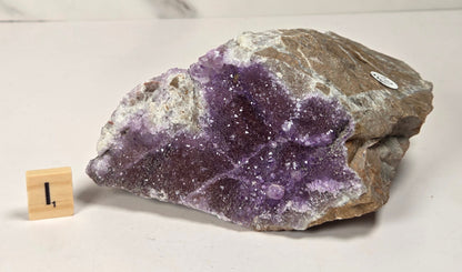 A raw amethyst geode specimen with a purple crystal cavity and white matrix, displayed on a light surface next to a small wooden block marker.