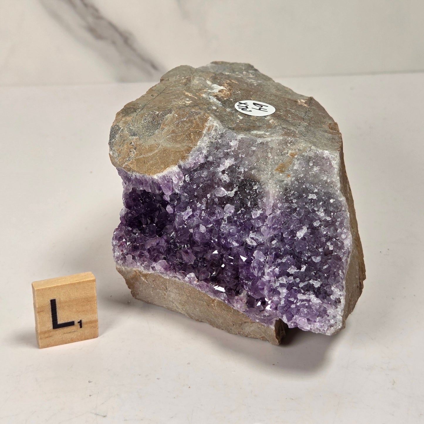 A raw amethyst geode specimen with a purple crystal cavity and rough tan-gray outer matrix, photographed on a light surface with a small wooden block showing the letter L for scale.
