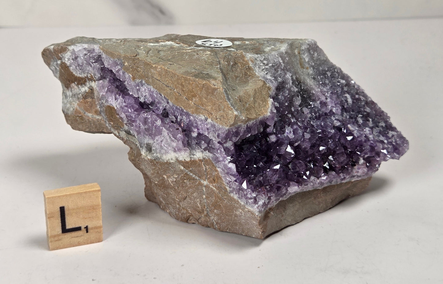 A raw amethyst geode specimen with a purple crystal cavity and tan-gray surrounding matrix, displayed on a light surface with a small wooden letter block for scale.