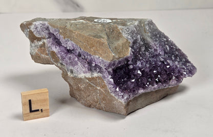 A raw amethyst geode specimen with a purple crystal cavity and tan-gray surrounding matrix, displayed on a light surface with a small wooden letter block for scale.