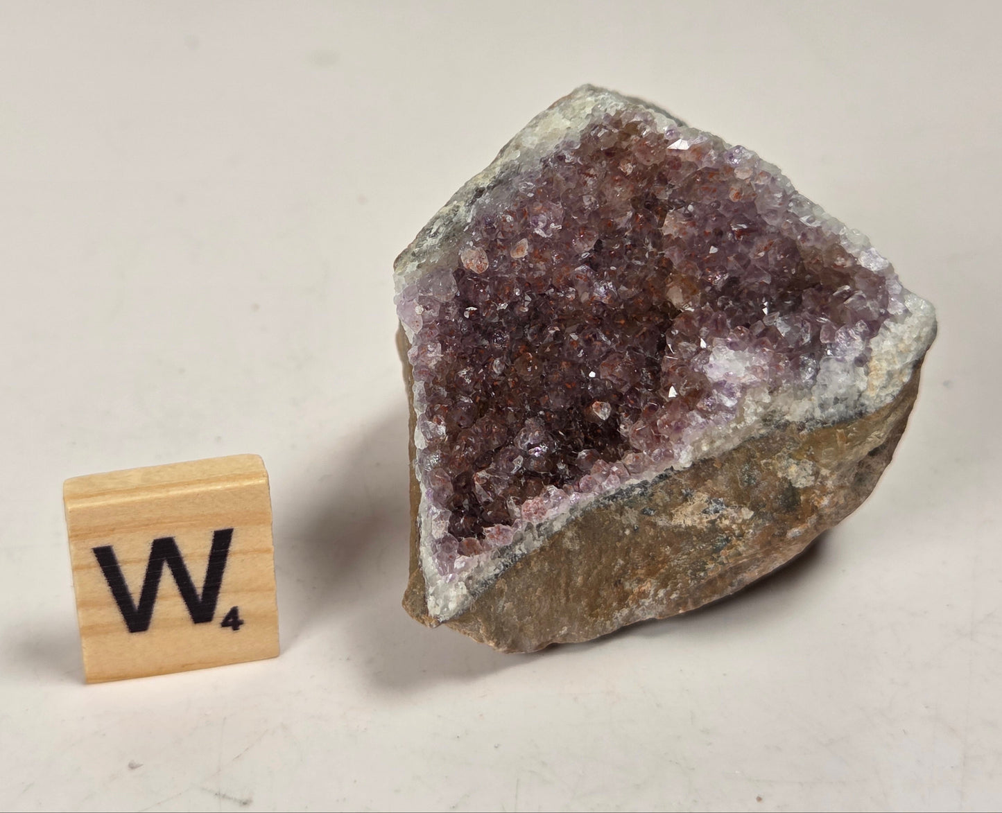 A raw amethyst geode specimen with a dark purple crystal cavity and rough brown outer matrix, shown next to a wooden Scrabble tile marked 'W' on a plain light background.