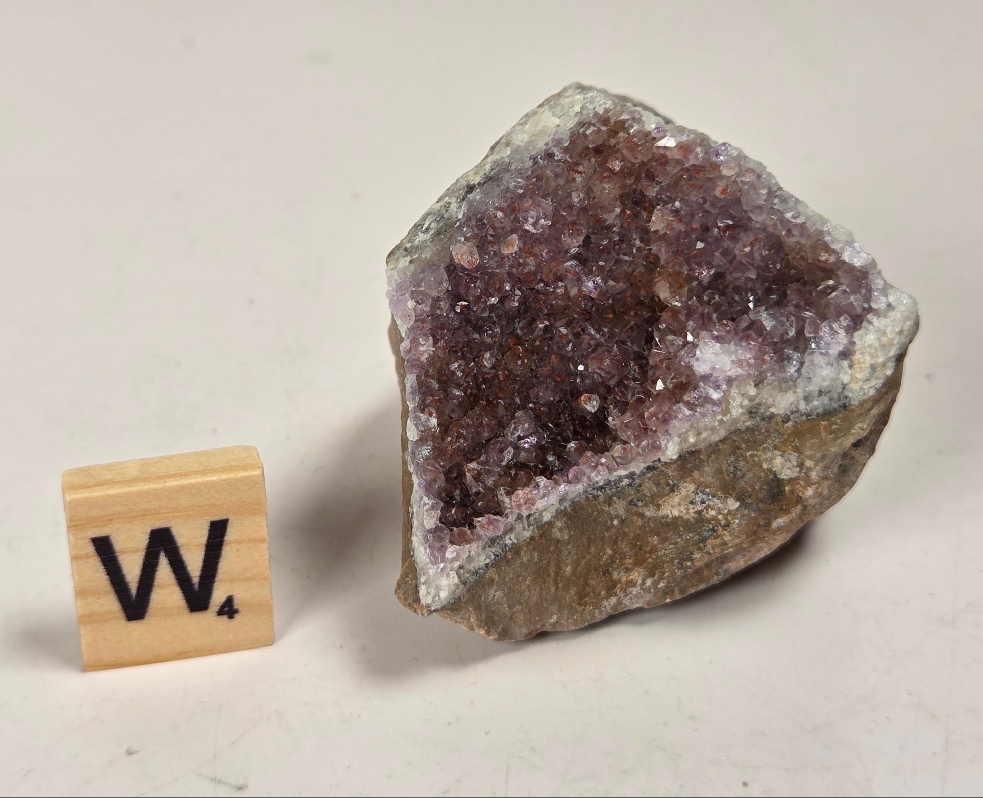 A raw amethyst geode specimen with a dark purple crystal cavity and rough brown outer matrix, shown next to a wooden Scrabble tile marked 'W' on a plain light background.