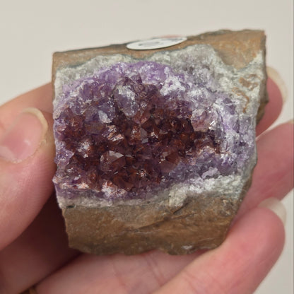 A hand holding a raw amethyst crystal cluster geode specimen, showing purple crystals set in brown and gray matrix, with a small white label sticker on the top surface.