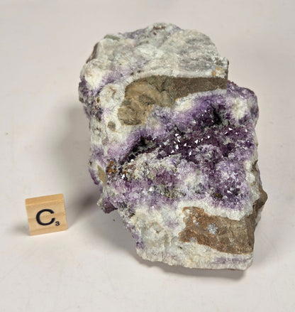 A raw amethyst geode specimen with purple crystal formations and a gray-brown matrix, displayed on a white surface with a small wooden 'C's' tile for scale.