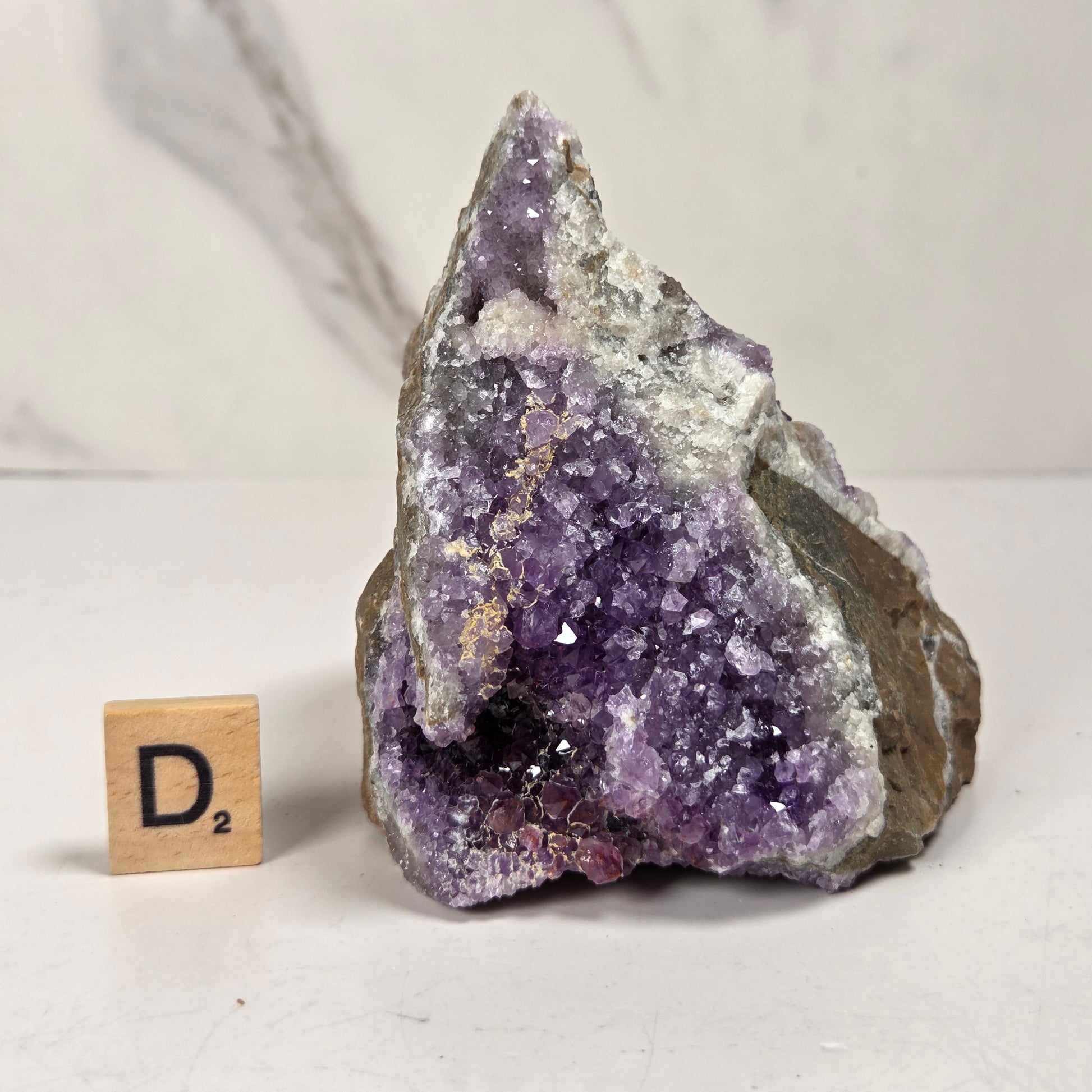 A raw amethyst geode specimen with purple crystal formations and a gray-brown matrix, displayed on a white surface with a small wooden 'D's' tile for scale.