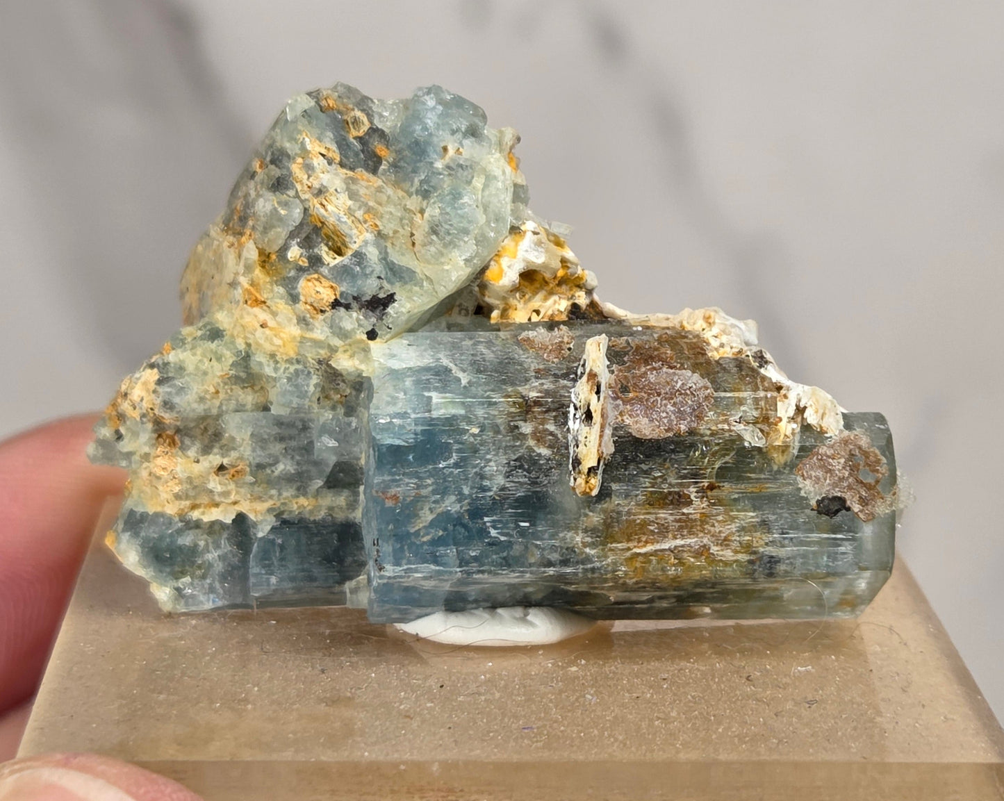 A hand holding a small mineral specimen featuring blue-green fluorite with gold pyrite and brown matrix, mounted on a square beige display block against a light marble background.