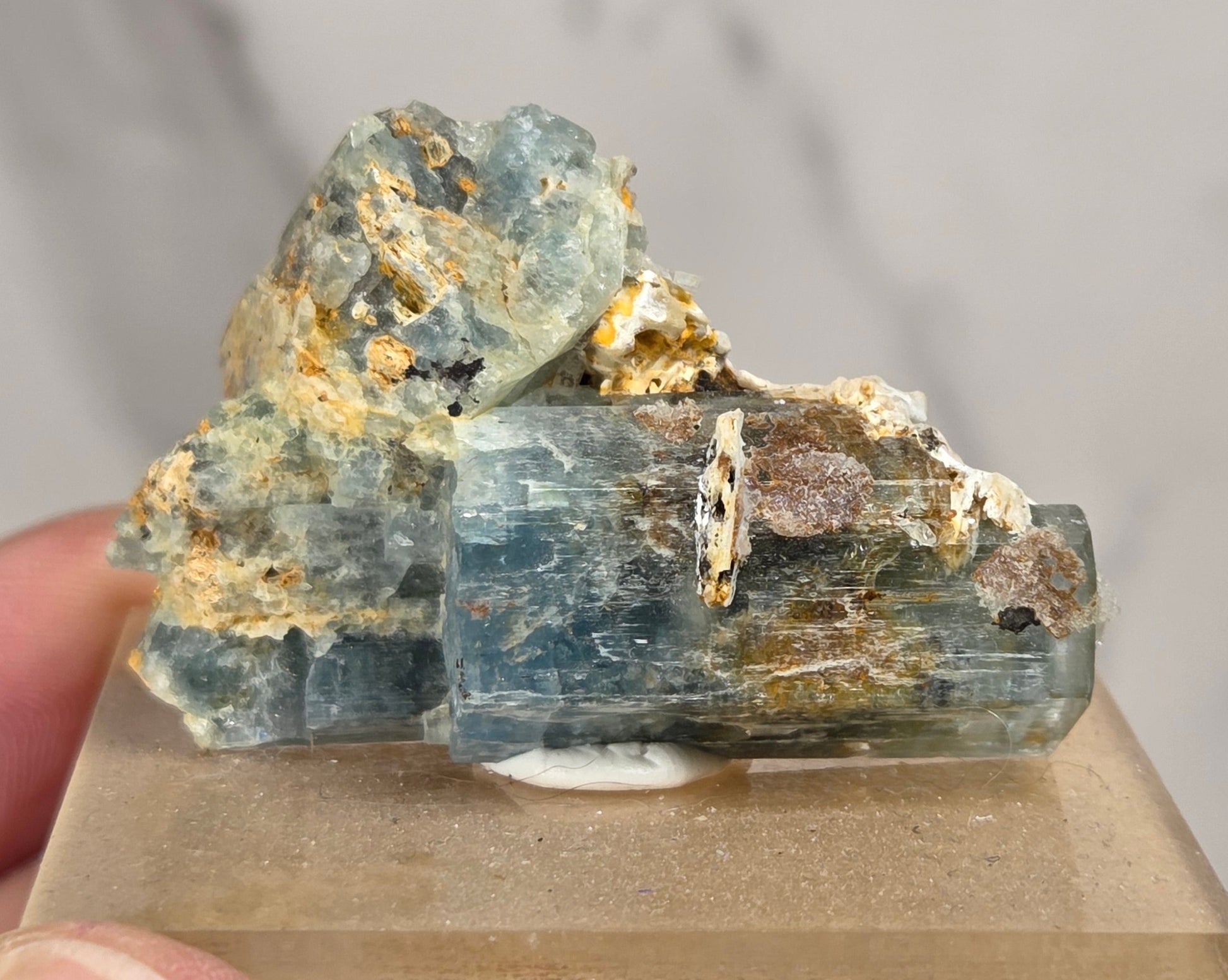 A hand holding a small mineral specimen featuring blue-green fluorite with gold pyrite and brown matrix, mounted on a square beige display block against a light marble background.