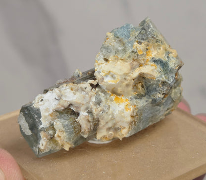 A small mineral specimen with blue-gray, cream, and yellow-orange crystalline texture mounted on a tan display block, held in a person's hand against a soft gray marble-like background.