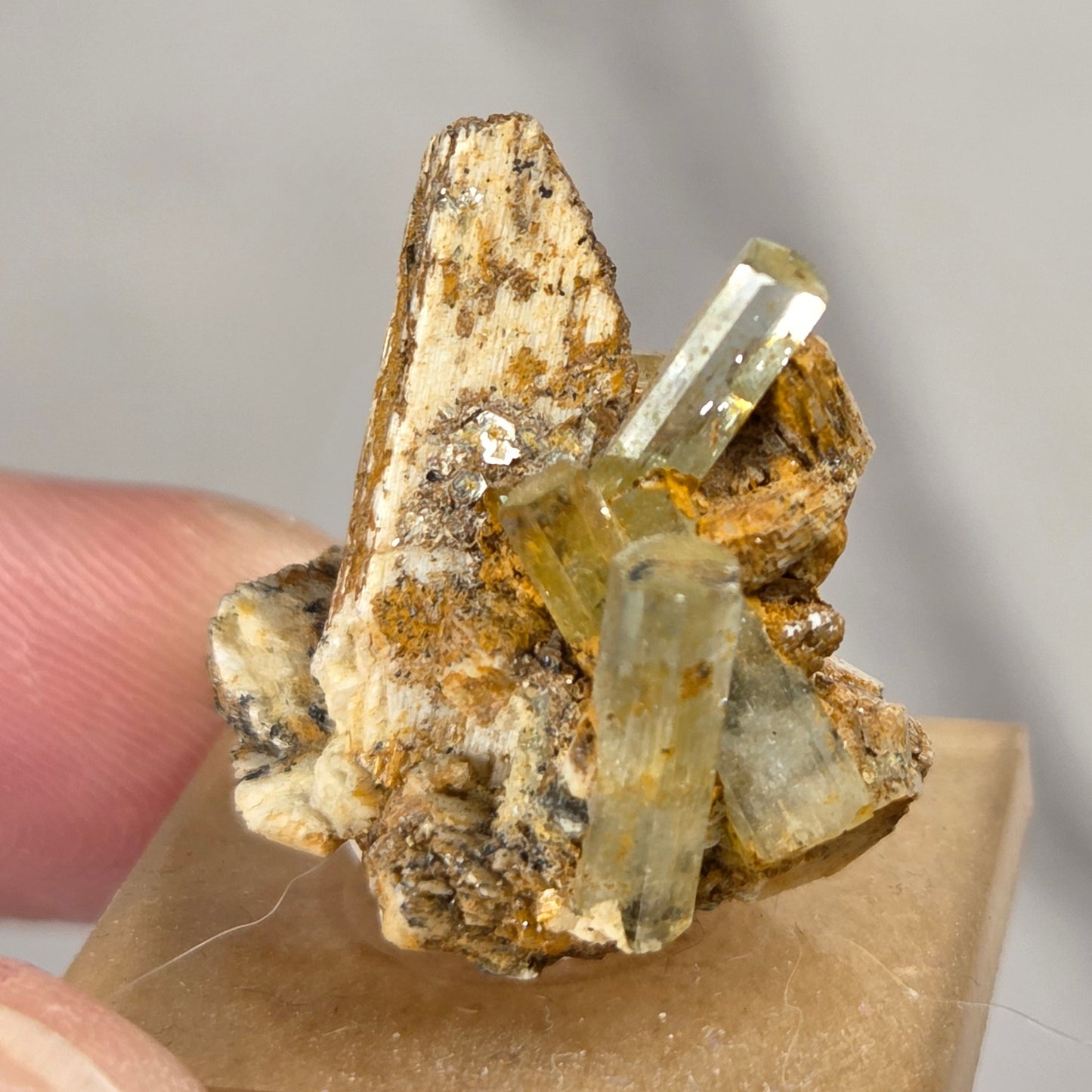 A small mineral specimen with pale yellow translucent crystal points on a tan matrix, held between fingers against a light gray background.