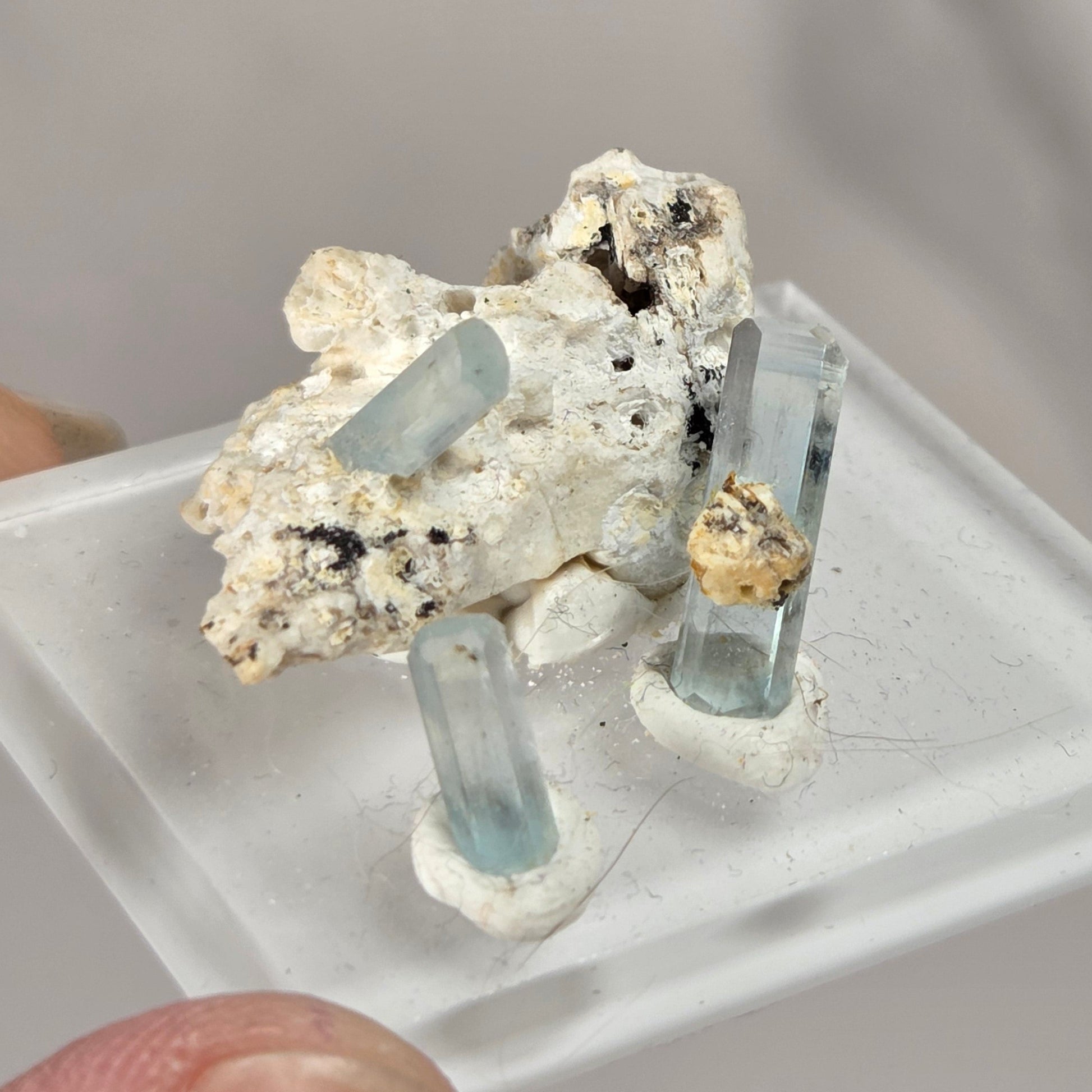 A hand holding a small clear acrylic display block containing a mineral specimen with a white and black textured matrix and three pale blue translucent crystal points.