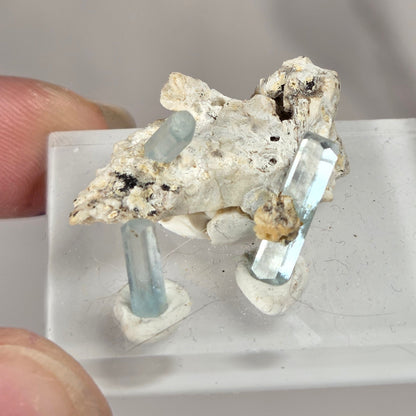 A small natural mineral specimen with pale cream-colored matrix and light blue transparent crystal points, mounted on a clear acrylic display block and held between fingers against a soft gray background.