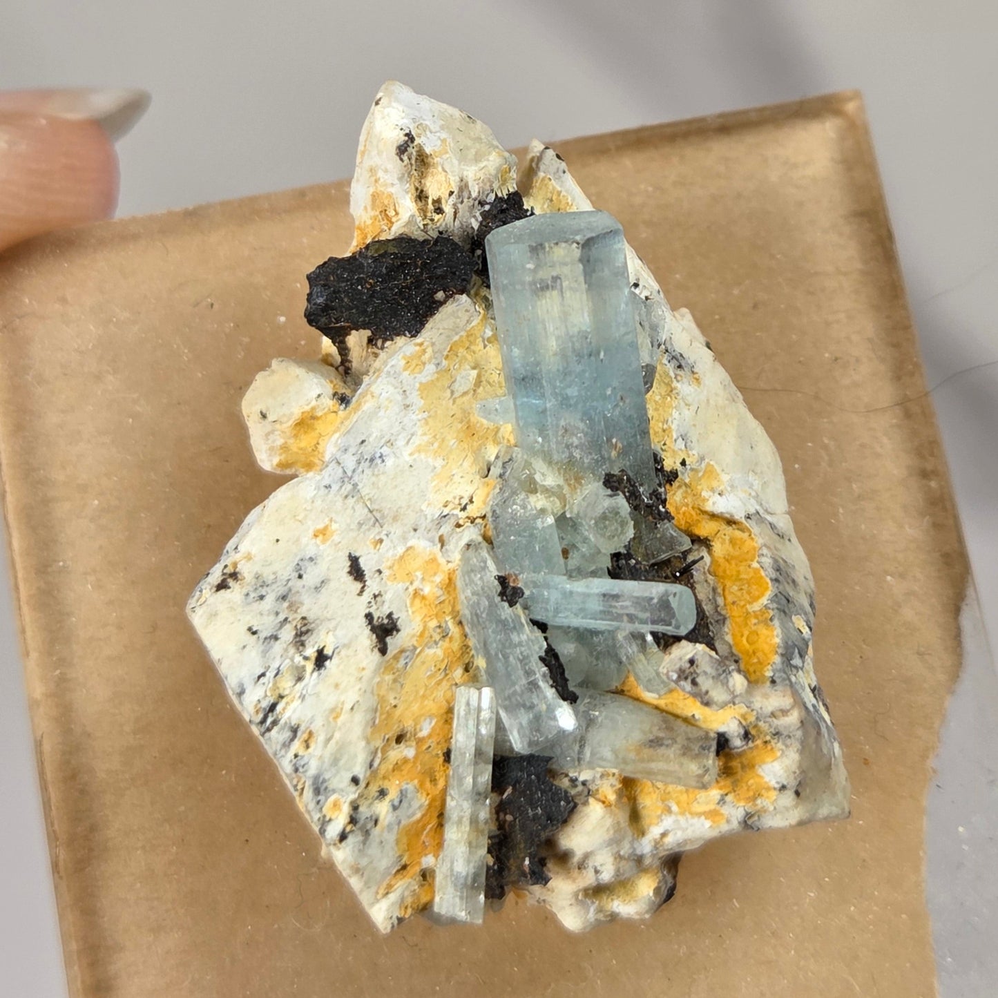 A hand holding a small square piece of brown paper that displays a mineral specimen featuring light blue fluorite crystals over a cream and yellow matrix.