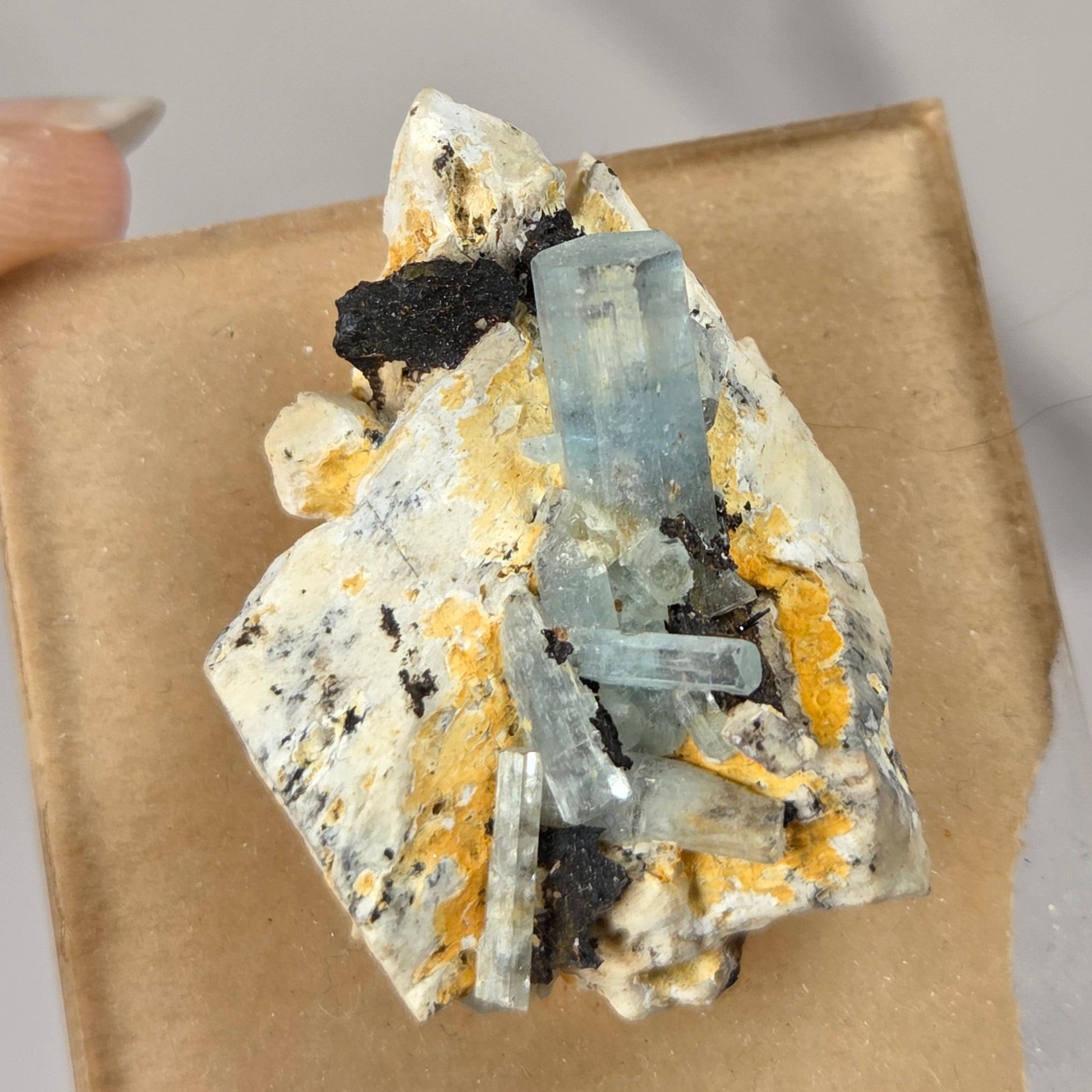 A hand holding a small square piece of brown paper that displays a mineral specimen featuring light blue fluorite crystals over a cream and yellow matrix.