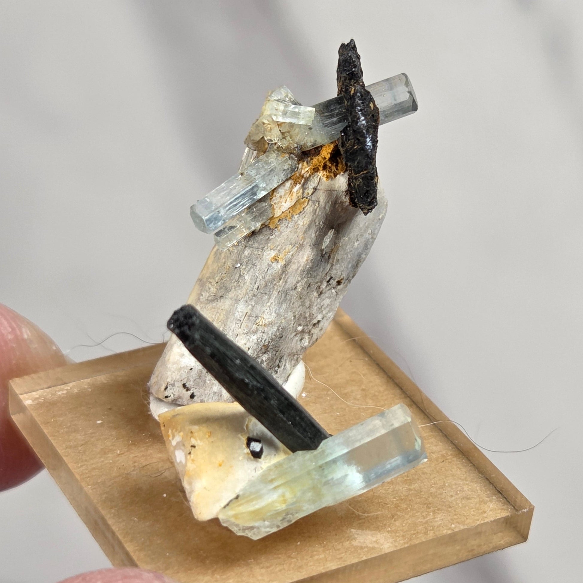A small mineral specimen with multiple crystal points in clear, blue, black, and pale yellow tones, mounted on a square light wood base and held between fingers against a soft gray background.