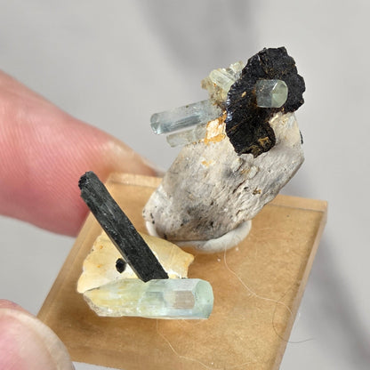 A hand holding a small mineral specimen mounted on a square tan slide. The specimen includes a pale grayish-white matrix with a dark black mineral, a light blue clear crystal, and a pale yellow crystal with a dark needle-like inclusion.