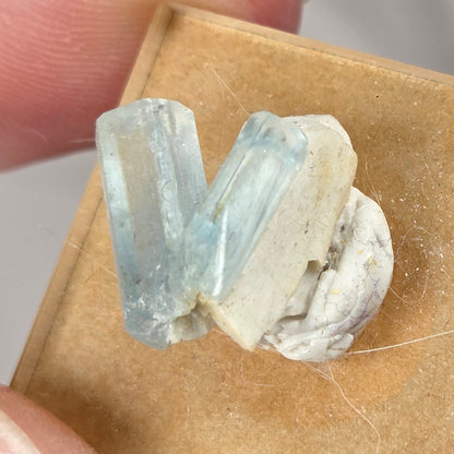 A close-up of a hand holding a small tan display card with two pale blue and white crystal formations against a soft gray background.
