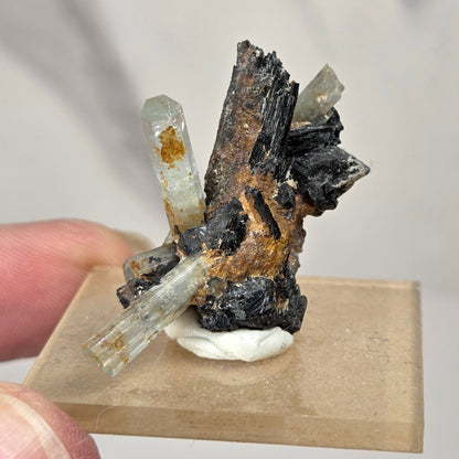 A small mineral specimen with dark metallic black and brown crystals, clear quartz points, and a white base, mounted on a tan rectangular block and held between fingers against a light gray background.