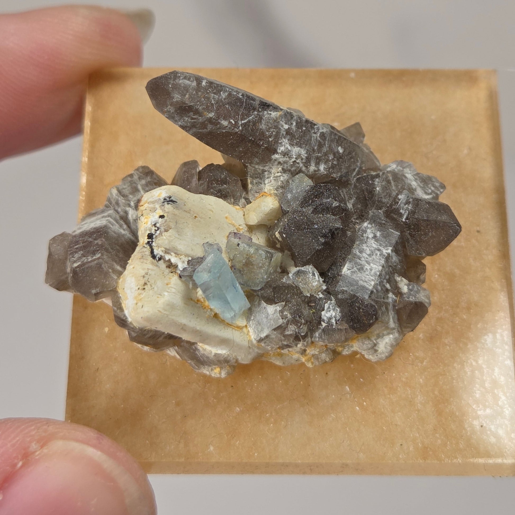 A hand holding a small mineral specimen on a square tan display card against a plain light gray background.