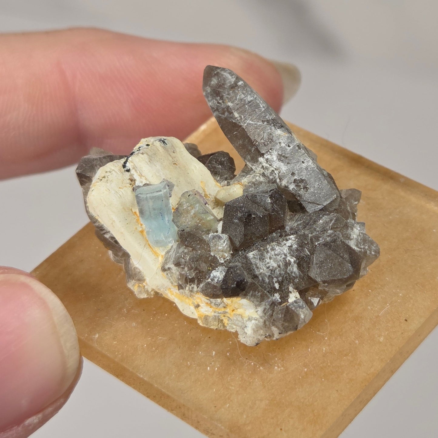 A hand holding a small natural crystal cluster mounted on a tan square card, photographed against a soft light gray background.