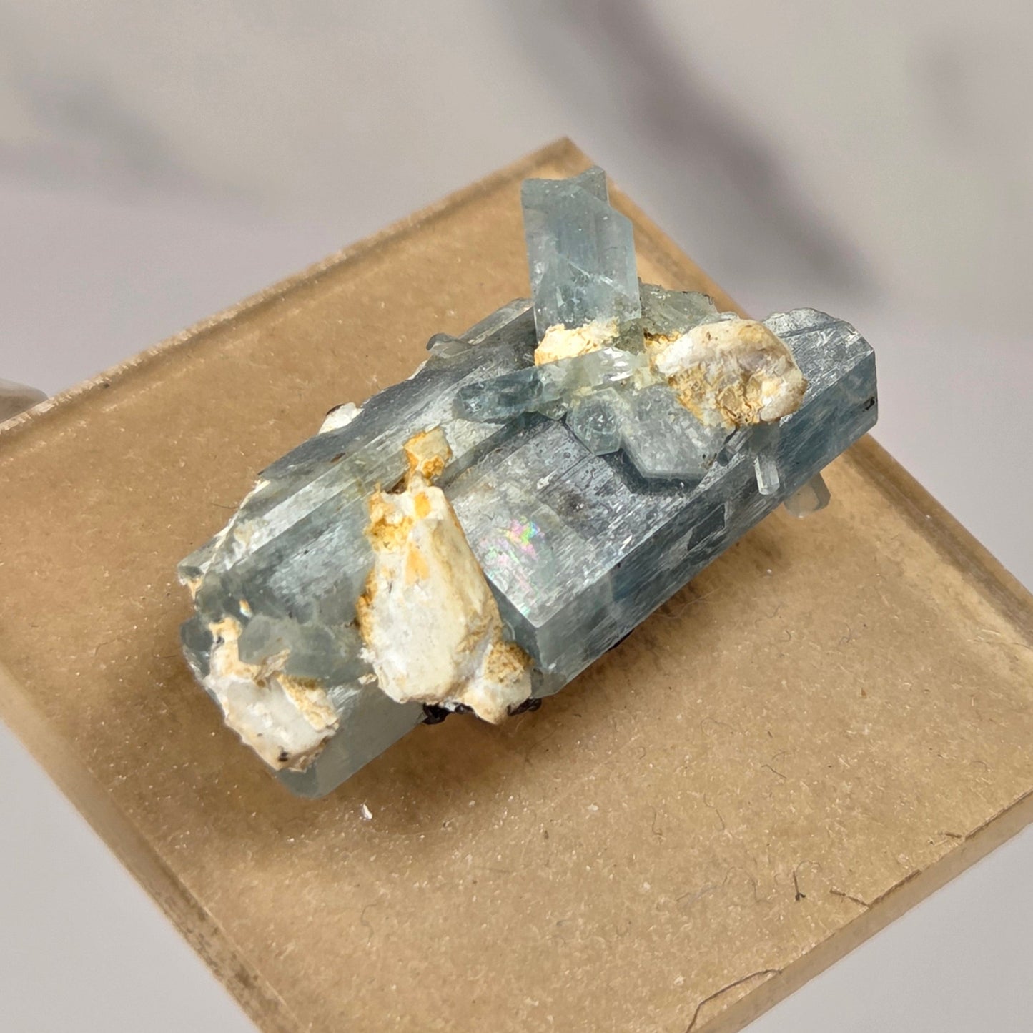 A small mineral specimen with pale blue translucent crystals and white matrix, mounted on a square tan card and held between fingers against a light gray background.