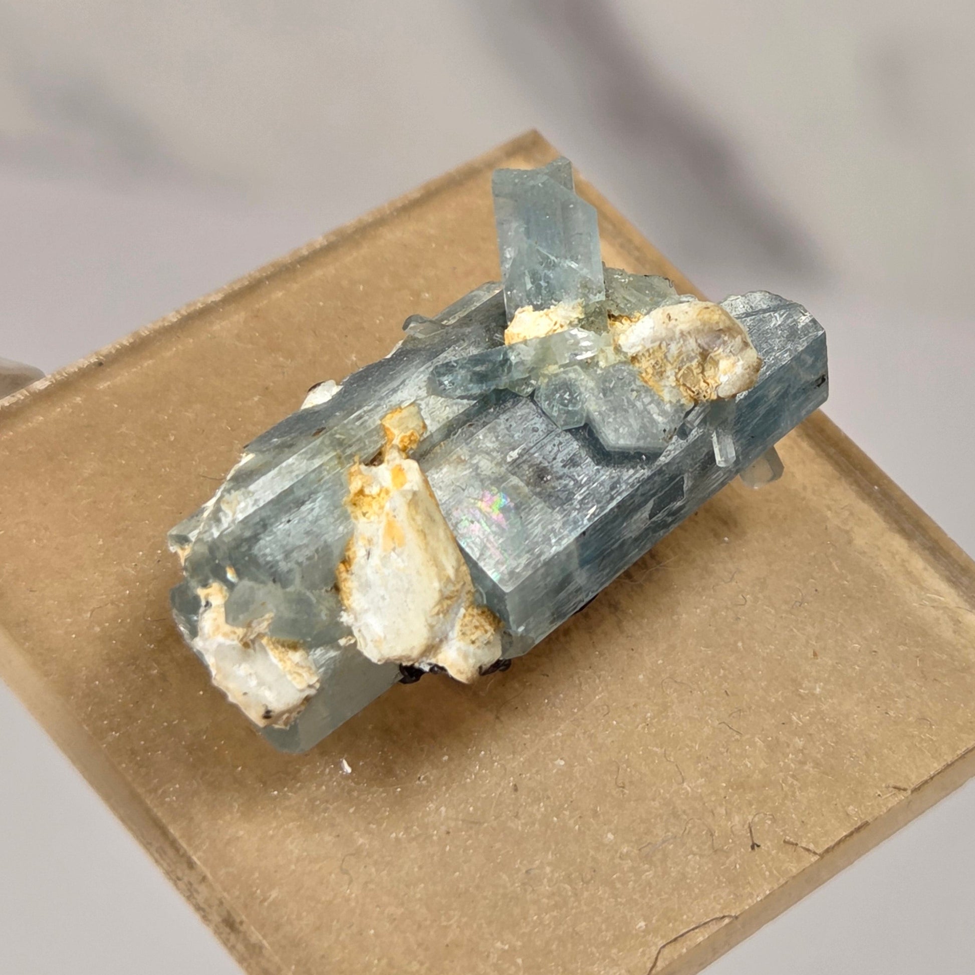 A small mineral specimen with pale blue translucent crystals and white matrix, mounted on a square tan card and held between fingers against a light gray background.