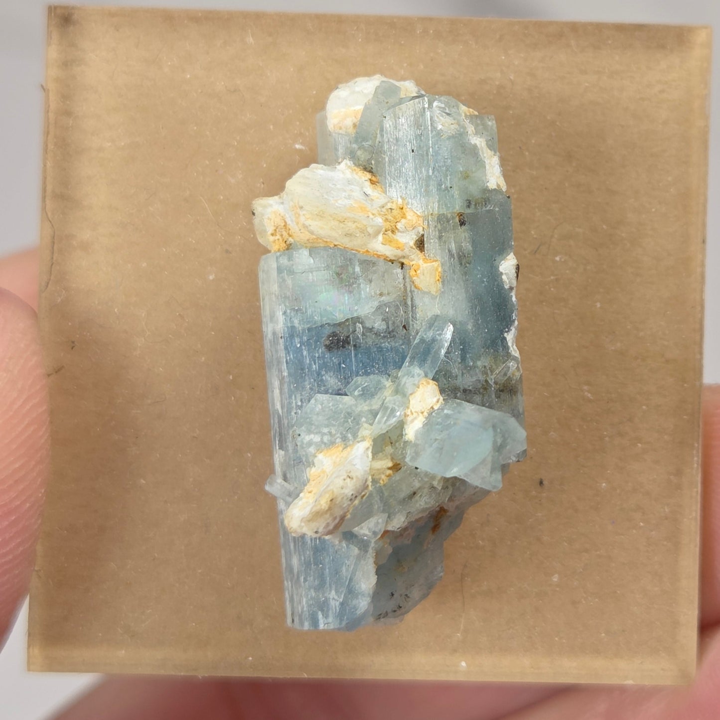 A small natural mineral specimen with pale blue and off-white crystalline texture mounted on a square tan card, held in a person's hand against a light neutral background.
