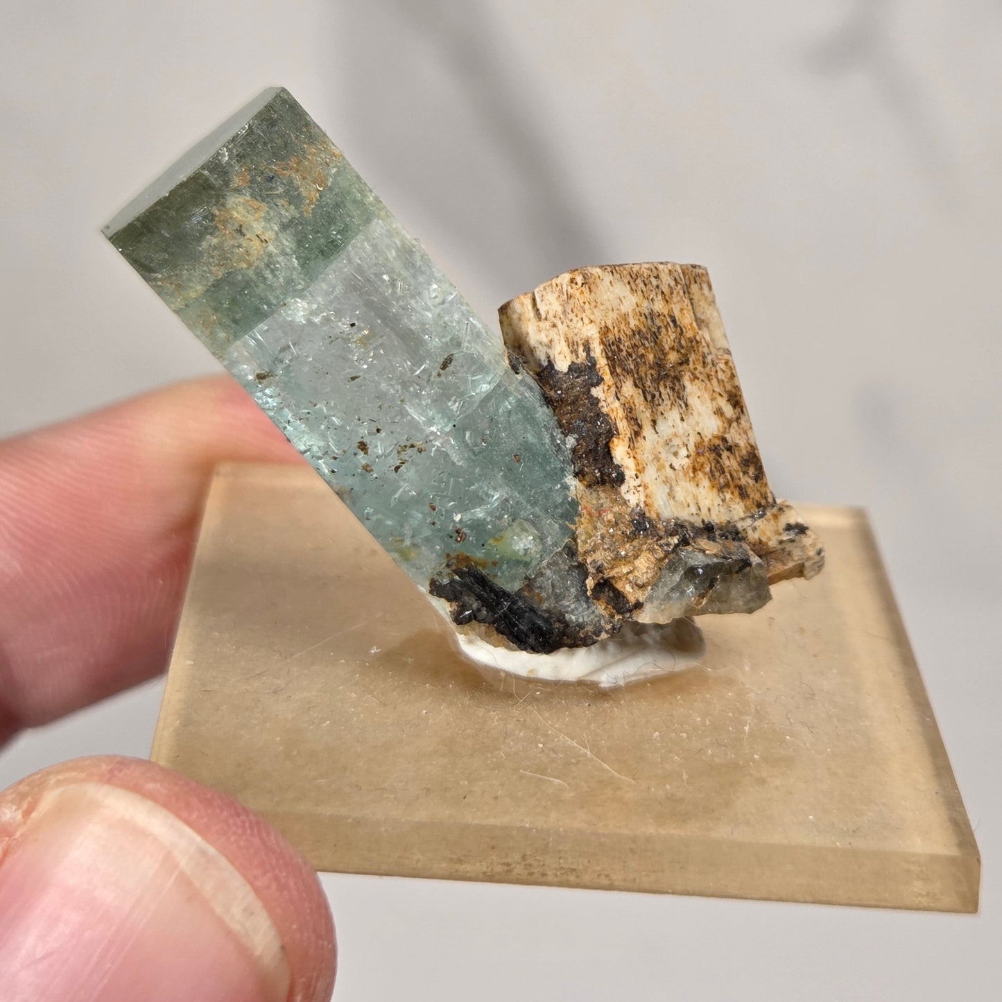 A hand holding a mineral specimen featuring a pale green-blue translucent crystal and a brown textured matrix, mounted on a small beige display block against a light gray background.
