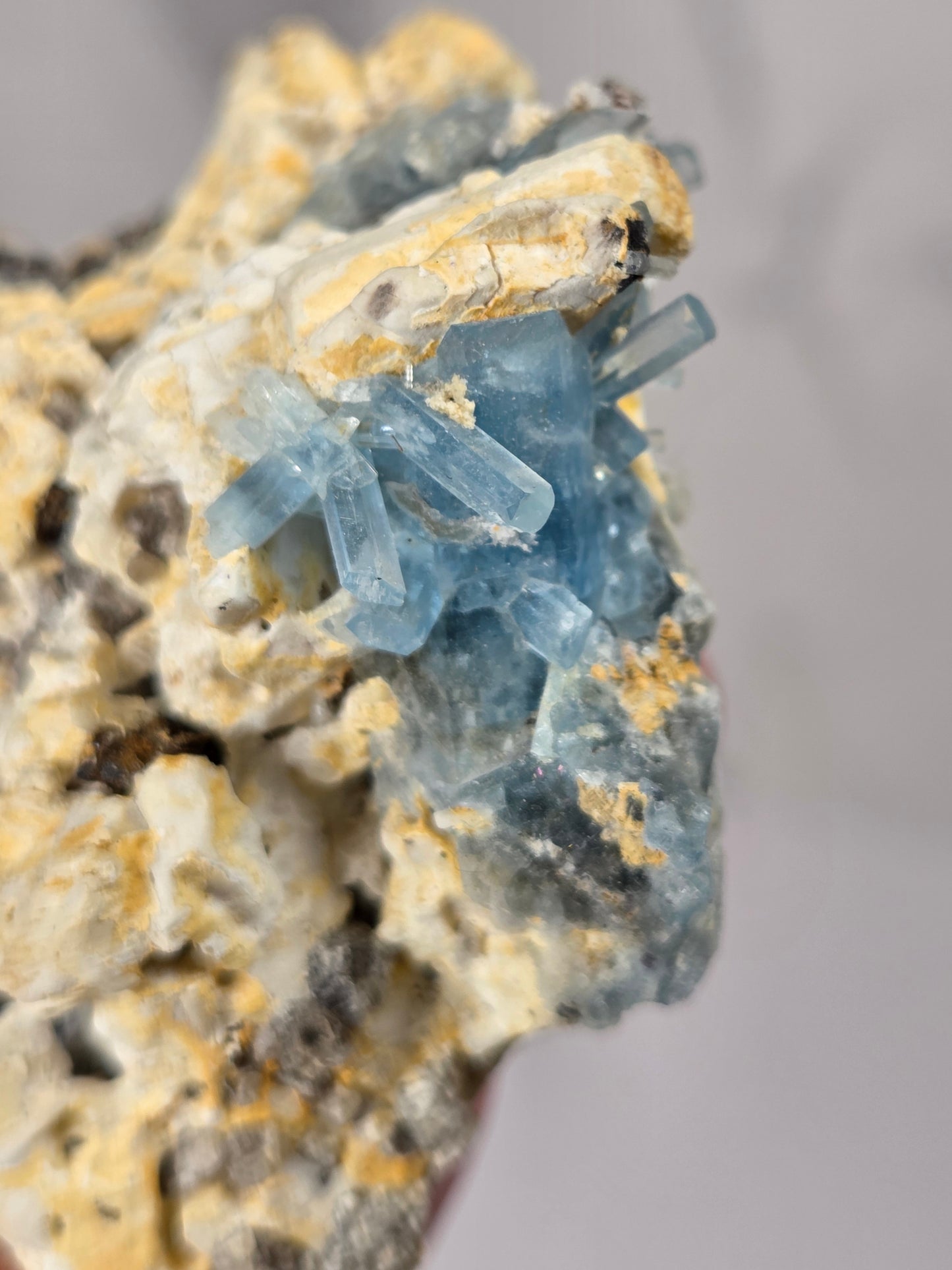 A close-up of a mineral specimen featuring light blue translucent crystals growing on a rough, textured matrix of beige, yellow, and gray.