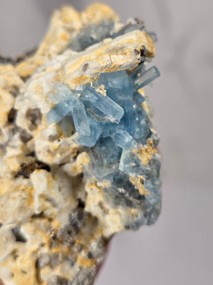 A close-up of a mineral specimen featuring light blue translucent crystals growing on a rough, textured matrix of beige, yellow, and gray.