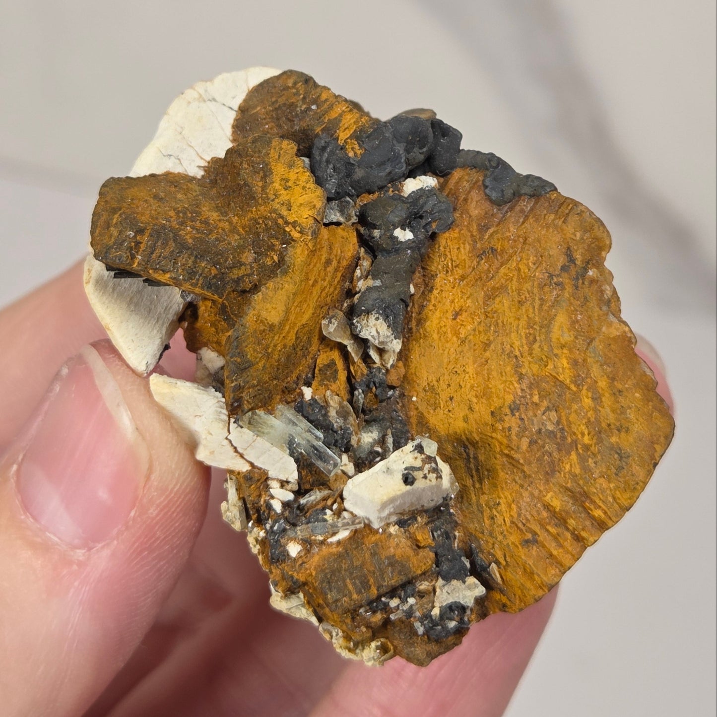 A hand holding a small natural mineral or fossil specimen with prominent orange-brown, black, and off-white crystalline textures against a light neutral background.