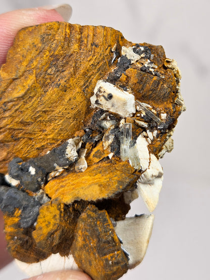 A close-up of a hand holding a rough mineral specimen with a large golden-brown textured area, dark blackish patches, and white crystalline inclusions against a light gray background.