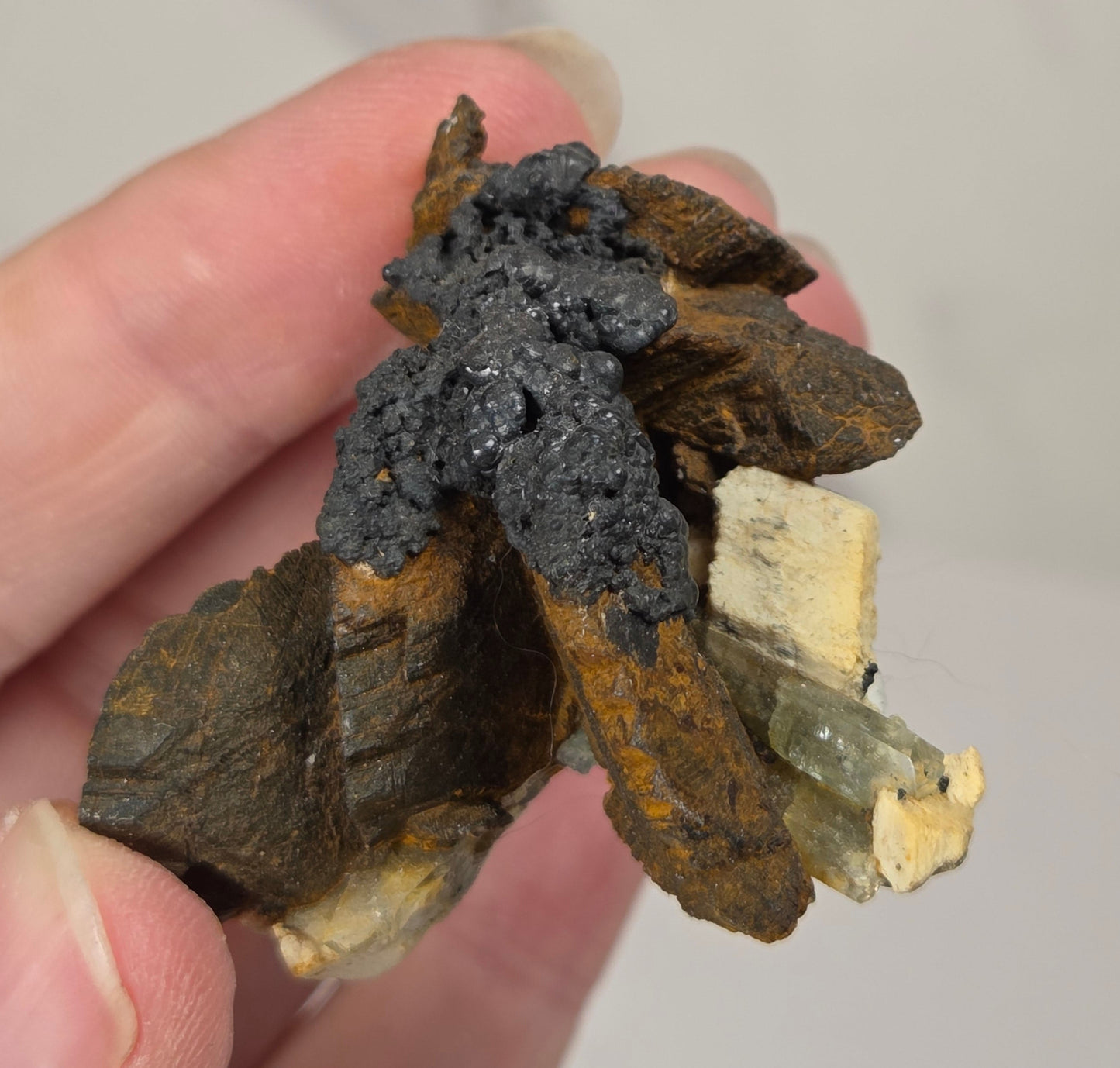 A hand holding a small mineral specimen featuring dark gray, brown, and cream-colored crystalline structures against a light gray background.