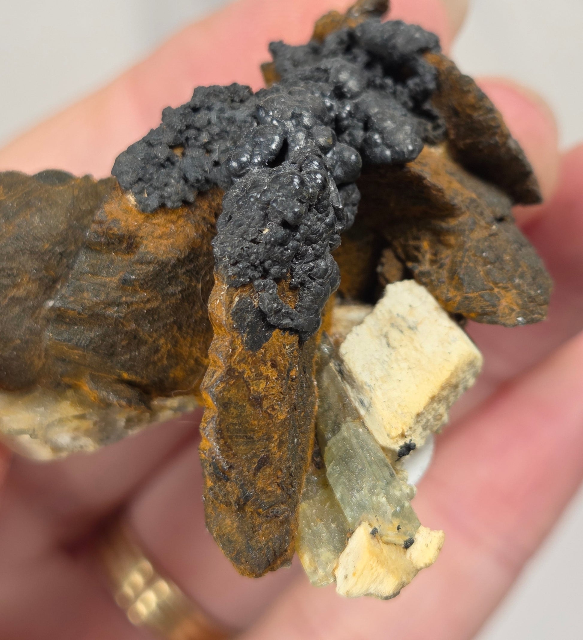 A hand holding a mineral specimen featuring a dark black textured top, a brown and orange matrix, and a pale yellowish crystal cluster.