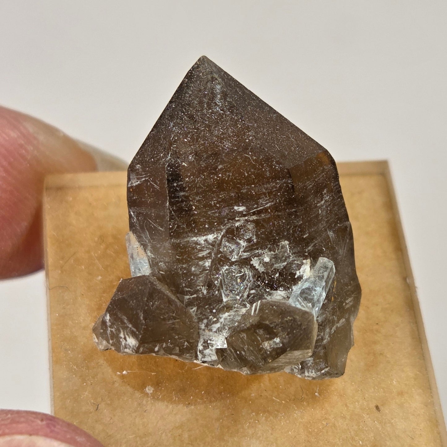 A smoky brown translucent crystal point mounted on a small tan square base, held between two fingers against a plain light background.