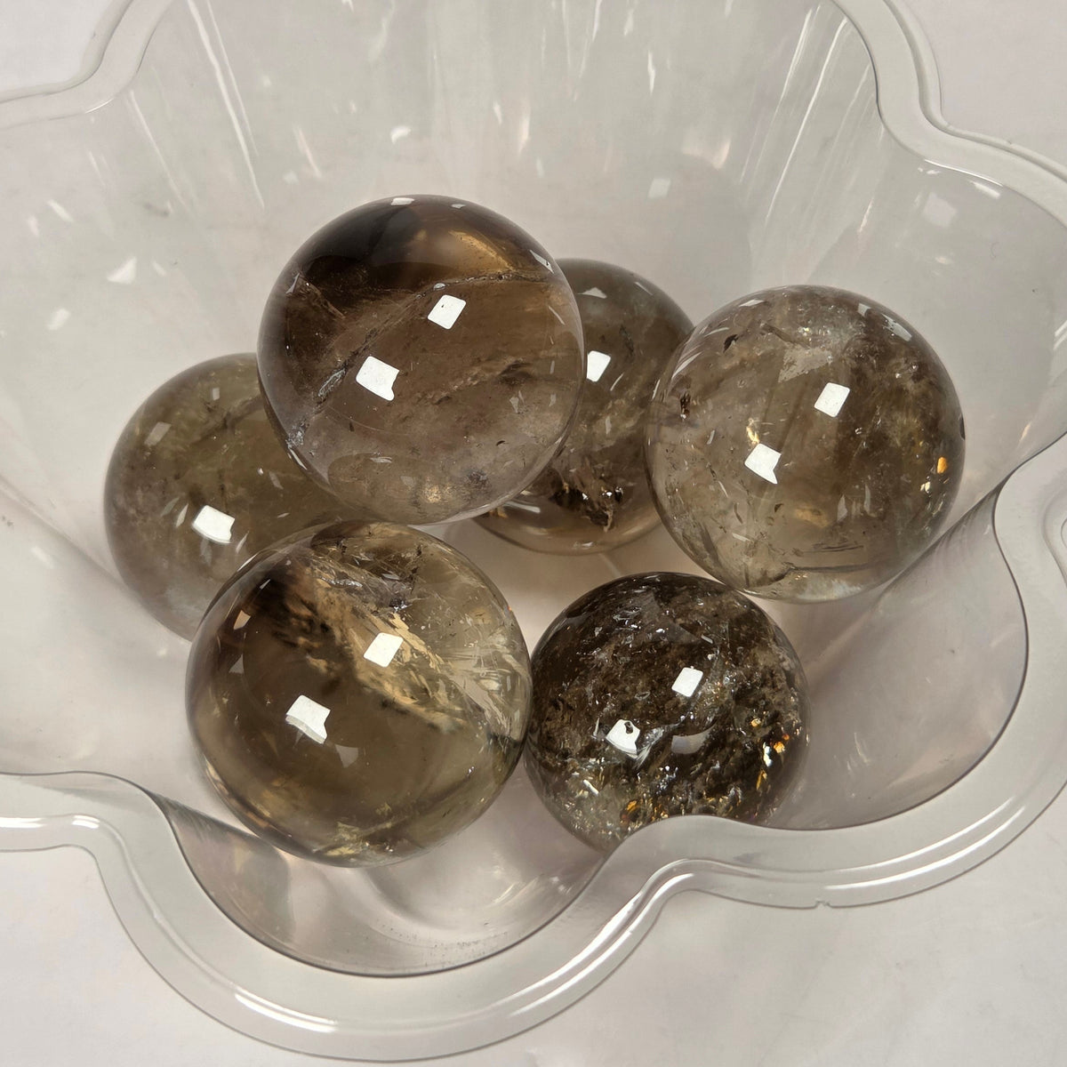 Five smoky brown and clear quartz crystal spheres displayed inside a clear, flower-shaped plastic dish on a white background.