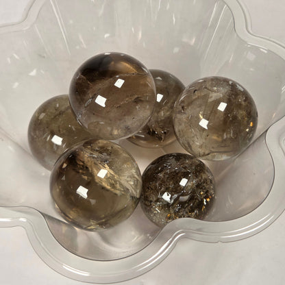 Five smoky brown and clear quartz crystal spheres displayed inside a clear, flower-shaped plastic dish on a white background.