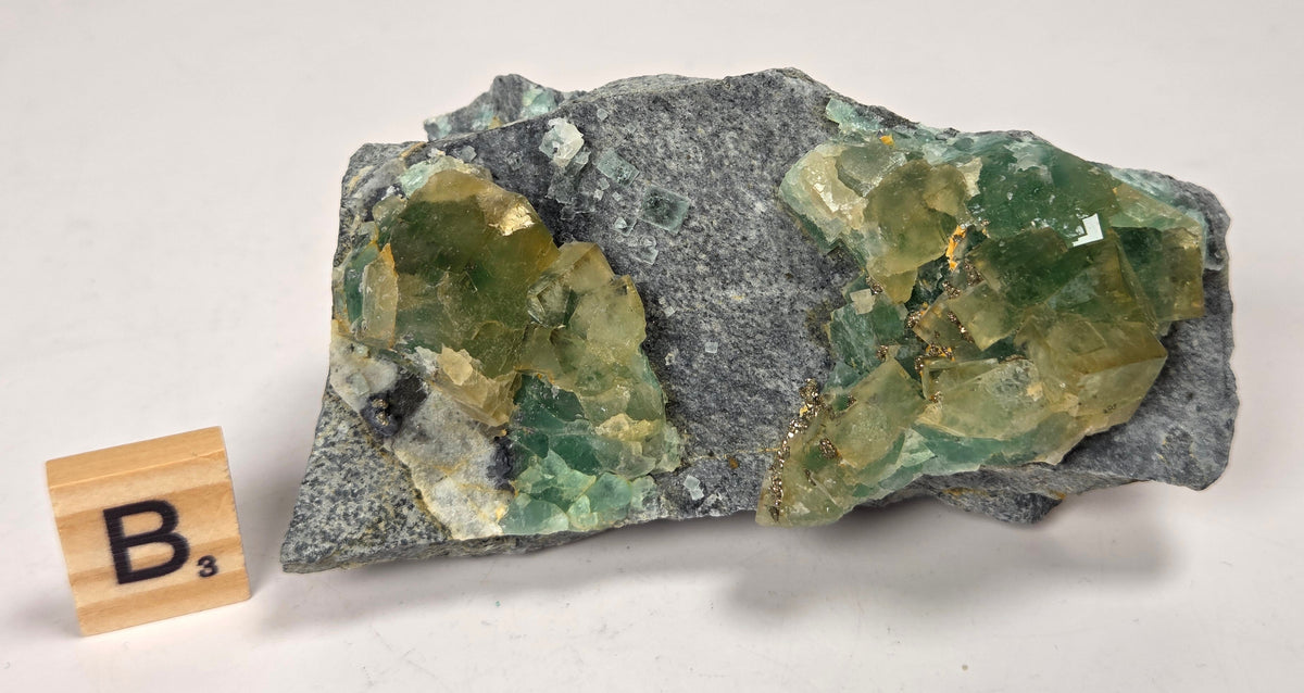 A raw mineral specimen featuring two green crystal clusters on a gray matrix, displayed on a white surface next to a wooden Scrabble tile showing the letter B.