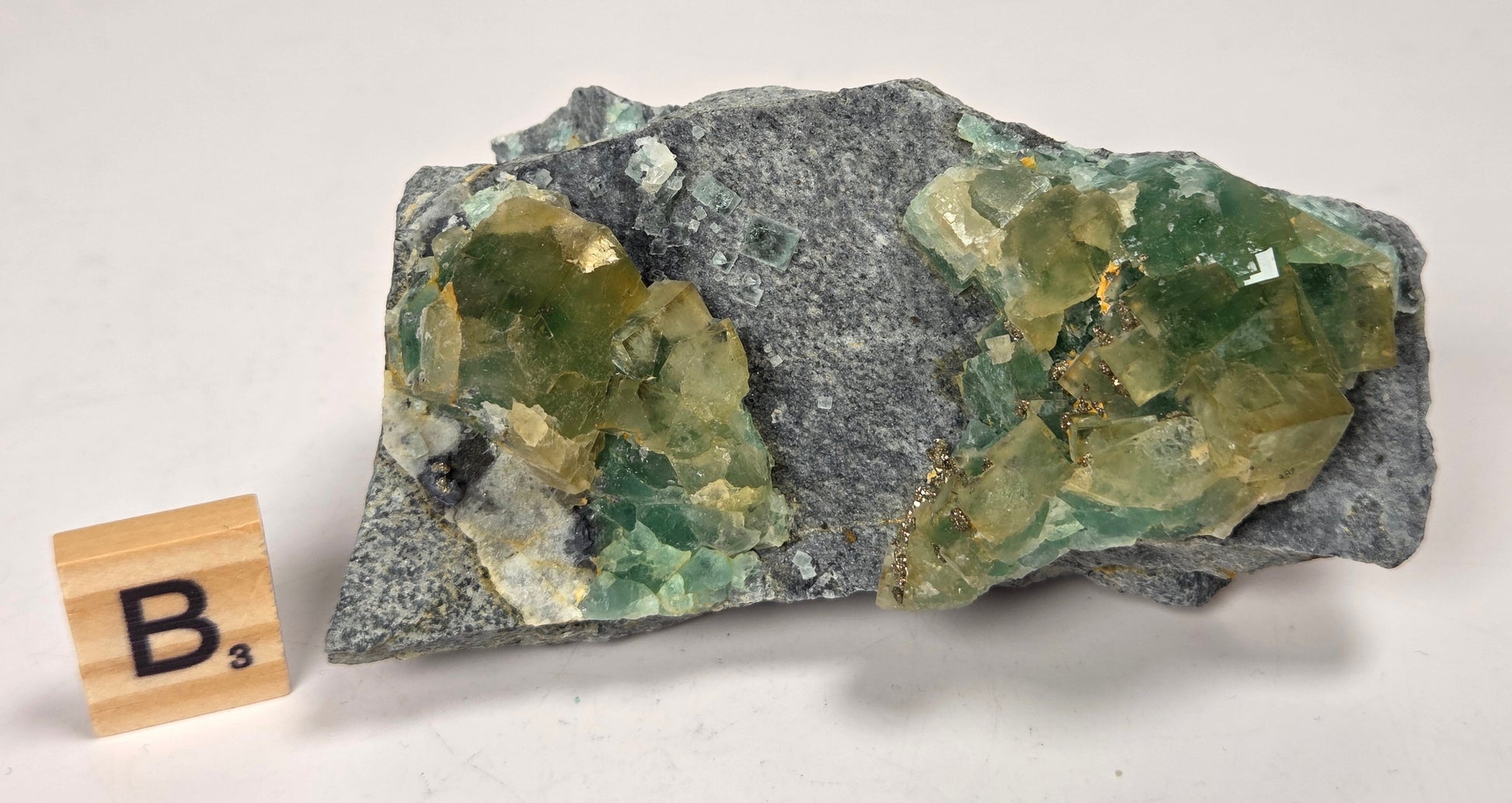 A raw mineral specimen featuring two green crystal clusters on a gray matrix, displayed on a white surface next to a wooden Scrabble tile showing the letter B.