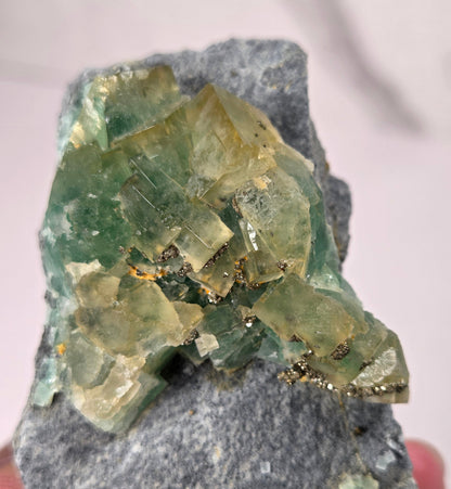 A mineral specimen featuring green fluorite crystals on a gray matrix, held by a hand against a light pink background.