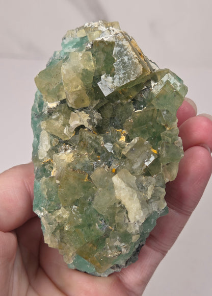 A hand holding a raw mineral specimen featuring green and yellow-green fluorite crystals with small gold inclusions, set against a neutral light gray background.