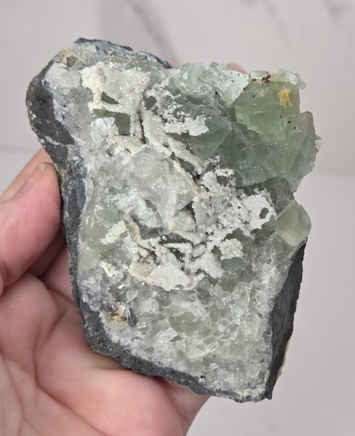 A hand holding a raw mineral specimen featuring light green fluorite crystals on a dark gray matrix, set against a light gray marble-patterned background.